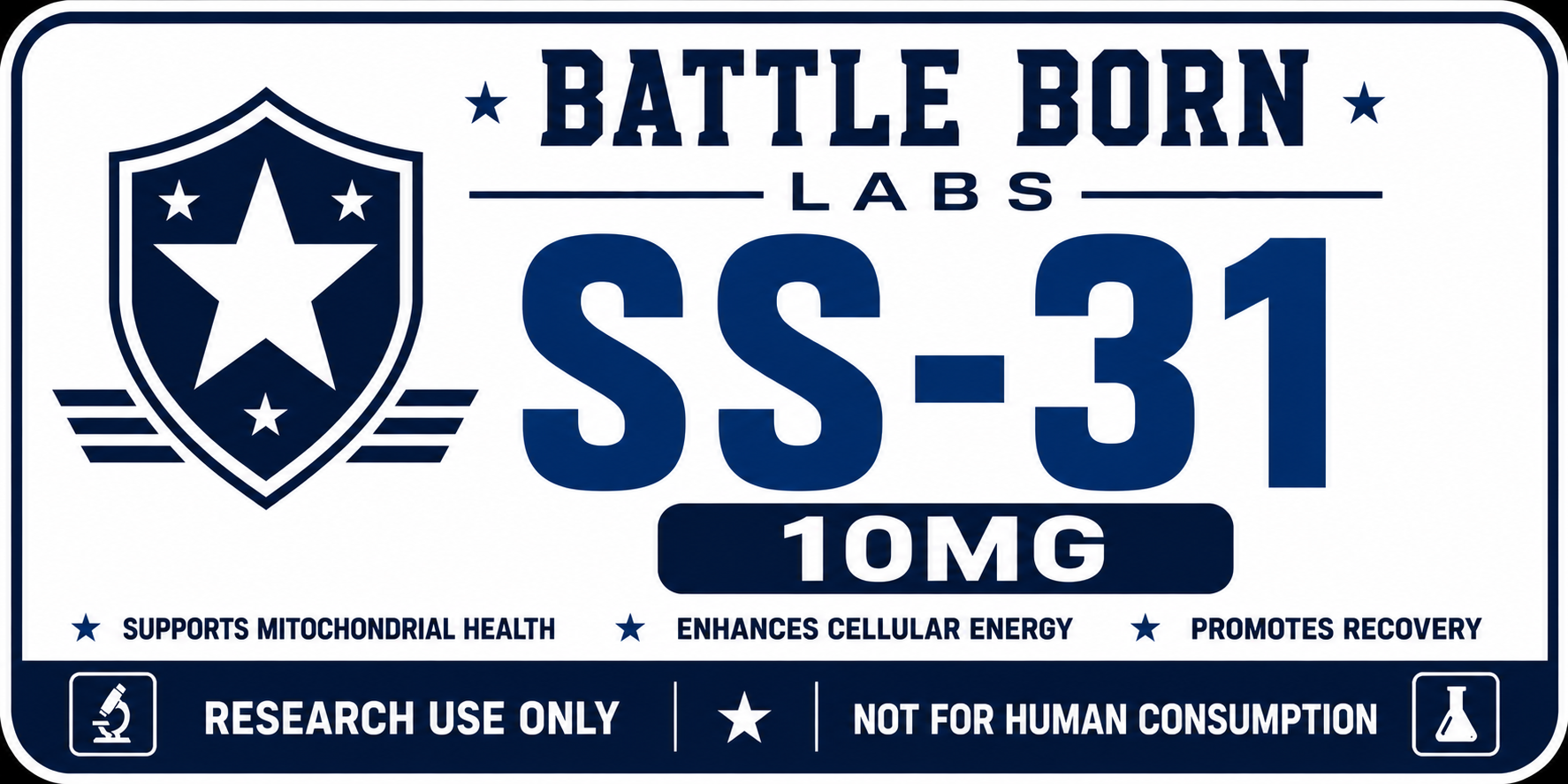 SS-31